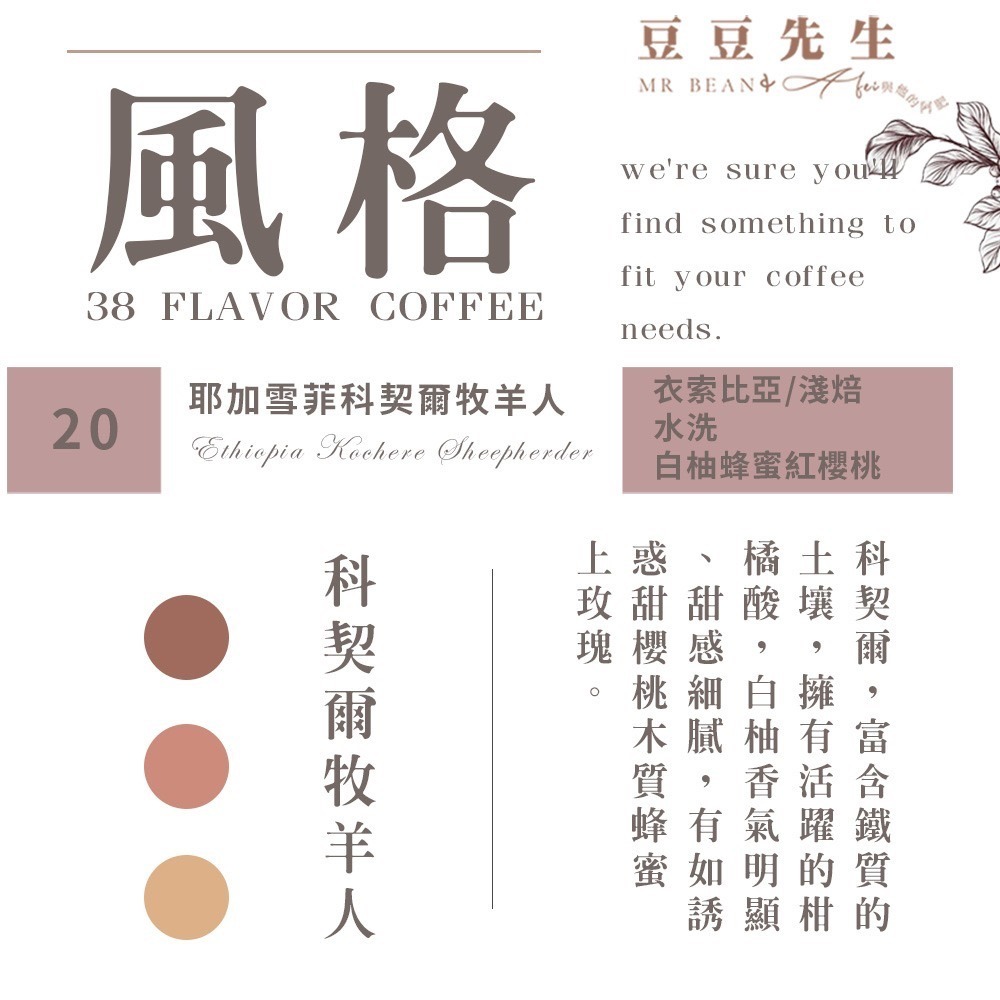 【買一送一】Mr Bean & AFei 商用咖啡Q Grader 經典38種咖啡豆X CQI品質鑑定師操刀-規格圖8