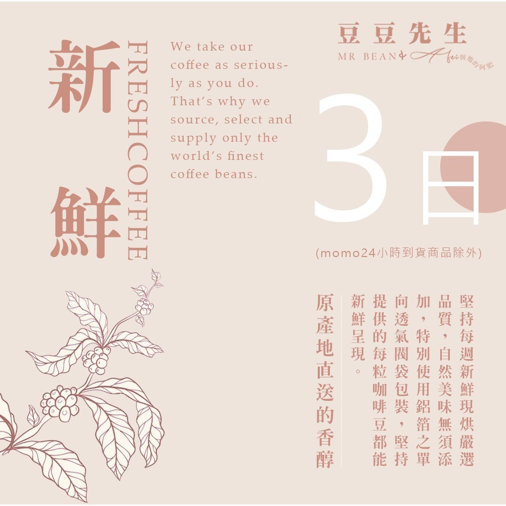 【買一送一】Mr Bean & AFei 商用咖啡 耶加雪菲阿若默茉莉G1  咖啡豆 可開發票 免費磨豆｜浪浪公益捐3%-細節圖2