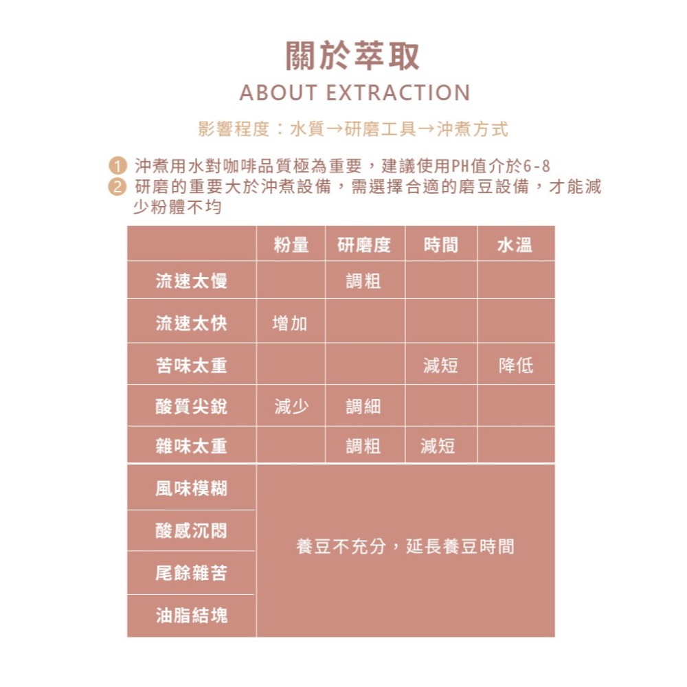 【買一送一】Mr Bean & AFei 商用咖啡 耶加雪菲阿若默茉莉G1  咖啡豆 可開發票 免費磨豆｜浪浪公益捐3%-細節圖6