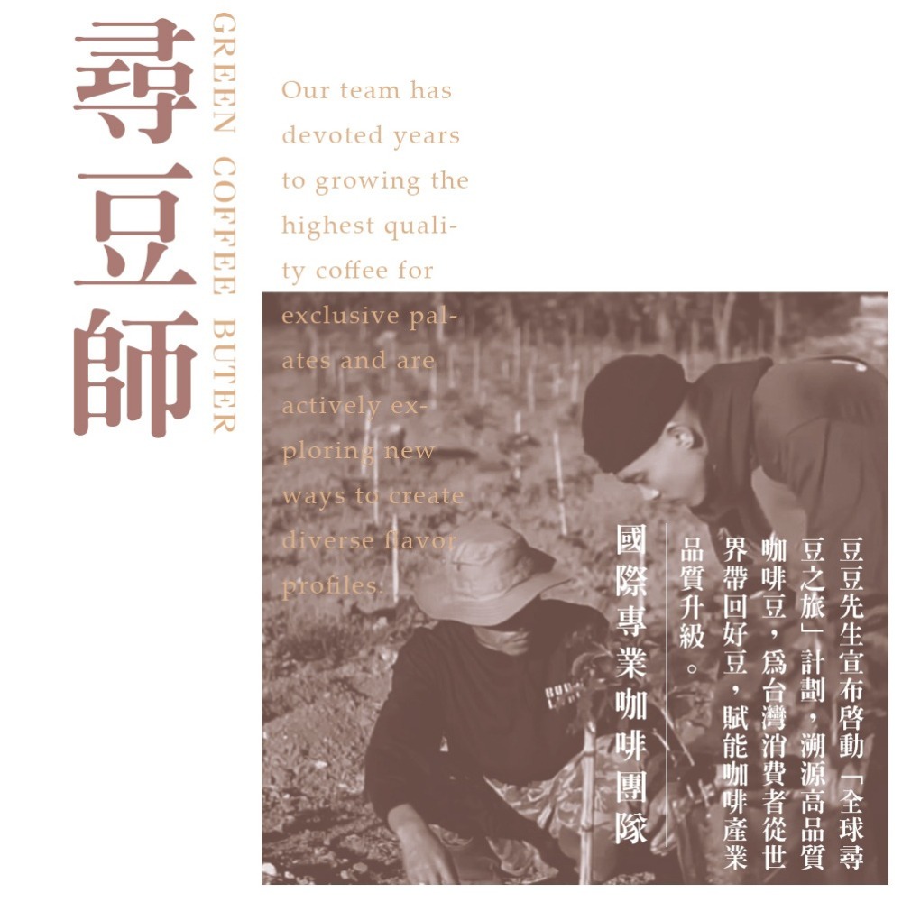 【買一送一】Mr Bean & AFei 商用咖啡 耶加雪菲阿若默茉莉G1  咖啡豆 可開發票 免費磨豆｜浪浪公益捐3%-細節圖7