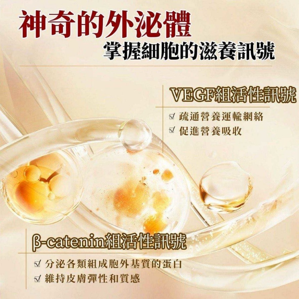 Bios外泌體賦活精華面膜(6片/盒)-細節圖2