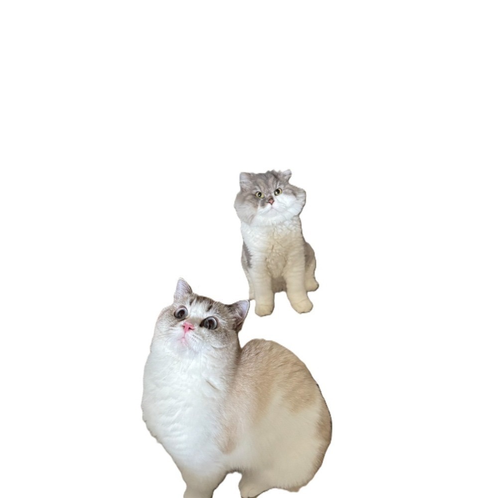 社群客訂 結帳時請備註   1. 社群暱稱 or LIne 暱稱 2.商品品項.數量 3.總價  下單後請聊聊客服唷-細節圖2