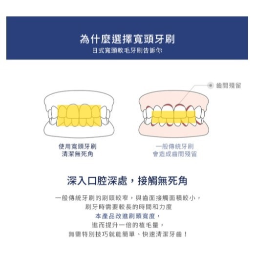 【優居】日式寬頭 軟毛牙刷 牙刷 寬頭牙刷 清潔牙刷 成人牙刷 4入/組-細節圖6