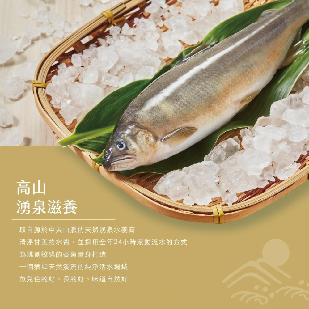 【大成】宮廷玉姬母香魚(5P)-細節圖4