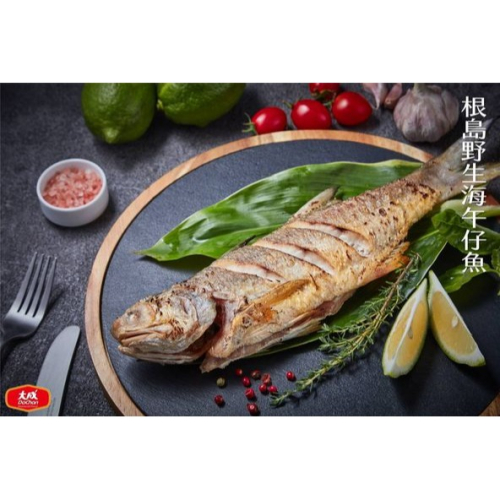 【大成】根島野生海午仔魚