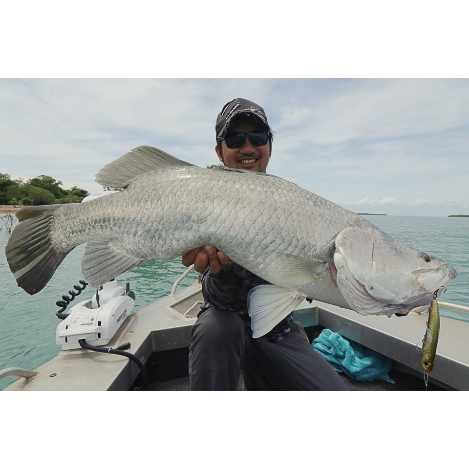 新加坡 骨頭 BONE Entice 110F 鉛筆 現貨「阿蔡路亞」 台灣總代理-細節圖3