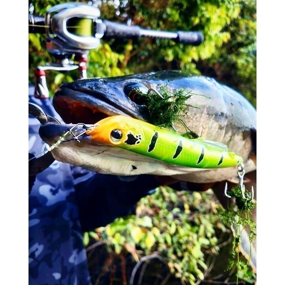 新加坡 骨頭 BONE Entice 110F 鉛筆 現貨「阿蔡路亞」 台灣總代理-細節圖4