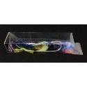 貓頭鷹三角蔓 多蔓 魚虎  呆  泰國 阿蔡路亞-規格圖5