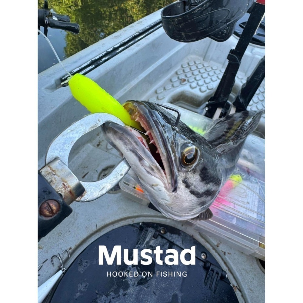 Mustad 慕斯達 2倍 怪物 方形 8/0 曲柄鉤 魚虎 石斑 軟蟲 鉤子 阿蔡路亞 台灣現貨-細節圖3