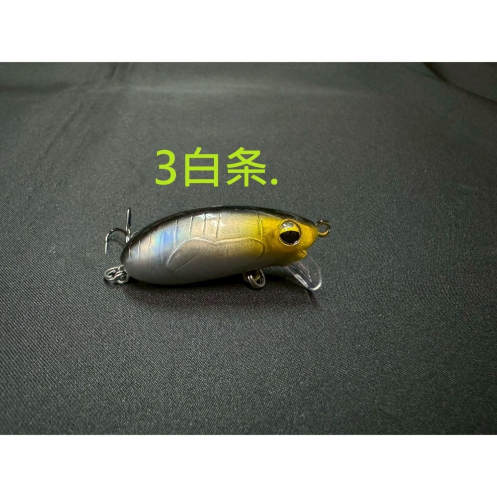 知瞭猴 知了猴 魔獸 加強版 CC60 CC50 簡易包裝 遠投 沉水 搖滾 小胖 阿蔡路亞 台灣現貨-細節圖5