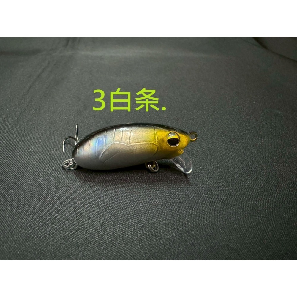 知瞭猴 知了猴 魔獸 加強版 CC60 CC50 簡易包裝 遠投 沉水 搖滾 小胖 阿蔡路亞 台灣現貨-規格圖8