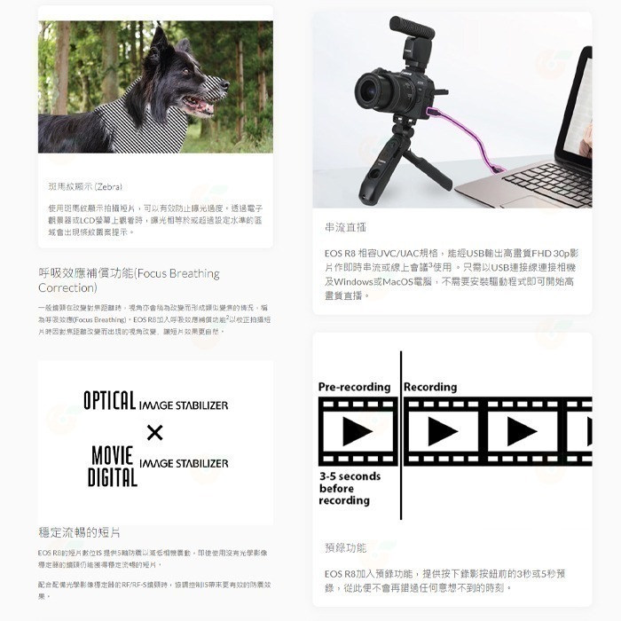 ⭐ 送定焦鏡頭 Canon EOS R8 KIT 24-50mm 全片幅無反單眼相機 單鏡組 台灣佳能公司貨 24-50-細節圖3