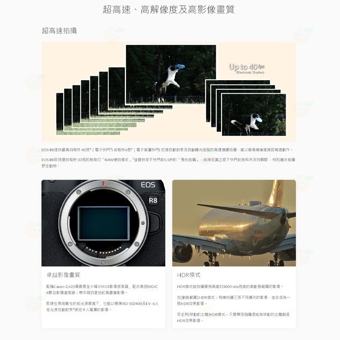 ⭐ 送定焦鏡頭 Canon EOS R8 KIT 24-50mm 全片幅無反單眼相機 單鏡組 台灣佳能公司貨 24-50-細節圖4