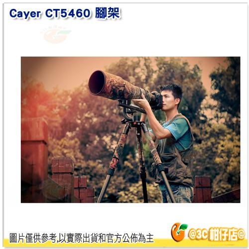 卡宴 Cayer CT5460 三腳架 開年公司貨 鋁材 碳纖 快轉固定鎖 金屬腳釘 4節-細節圖3