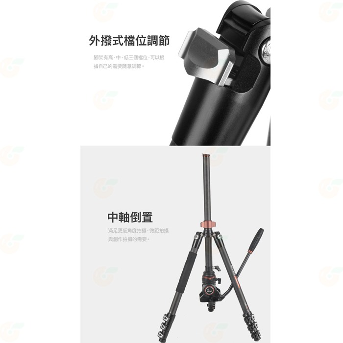 卡宴 Cayer CF2451H4 碳纖維 扳扣快鎖 三腳架 公司貨 H4 油壓雲台 中軸倒置 碗型 攝影 錄影-細節圖6