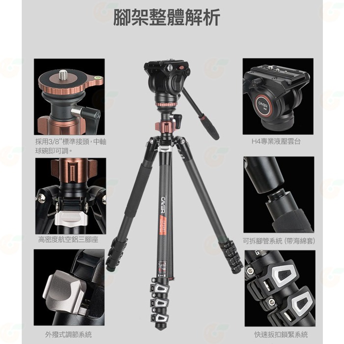 卡宴 Cayer CF2451H4 碳纖維 扳扣快鎖 三腳架 公司貨 H4 油壓雲台 中軸倒置 碗型 攝影 錄影-細節圖7