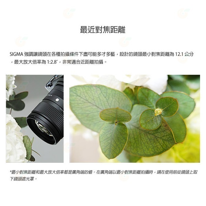 SIGMA 18-50mm F2.8 DC DN 鏡頭 恆伸公司貨 18-50 適用 富士 SONY Canon-細節圖6