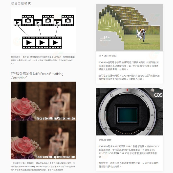 送註冊禮 Canon EOS R50 雙鏡組 18-45mm 55-210mm 微單眼相機 台灣佳能公司貨-細節圖4