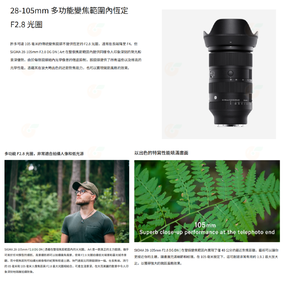 SIGMA 28-105mm F2.8 DG DN Art 變焦鏡頭 28-105 恆伸公司貨 適用 SONY E-細節圖2