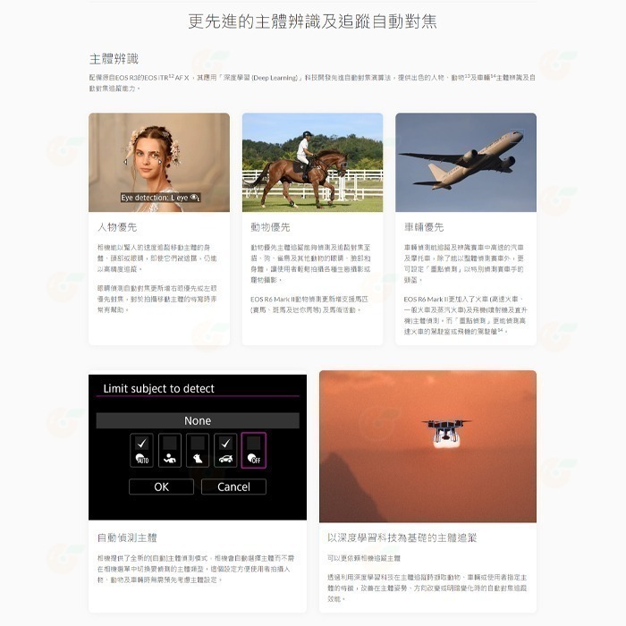 送註冊禮 Canon EOS R6 Mark II Body 全片幅無反單眼相機 單機身 台灣佳能公司貨 R62-細節圖5