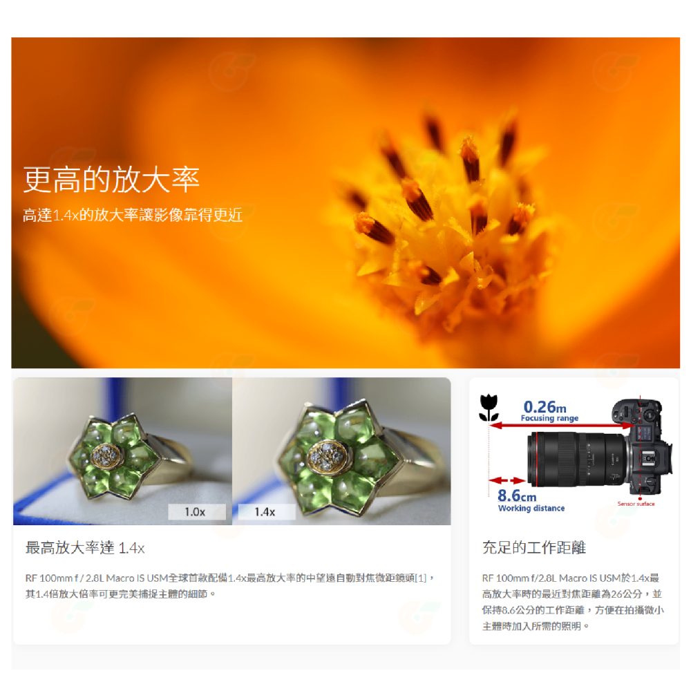 Canon RF 100mm f2.8 L MACRO IS USM 微距鏡頭 百微 台灣佳能公司貨-細節圖3