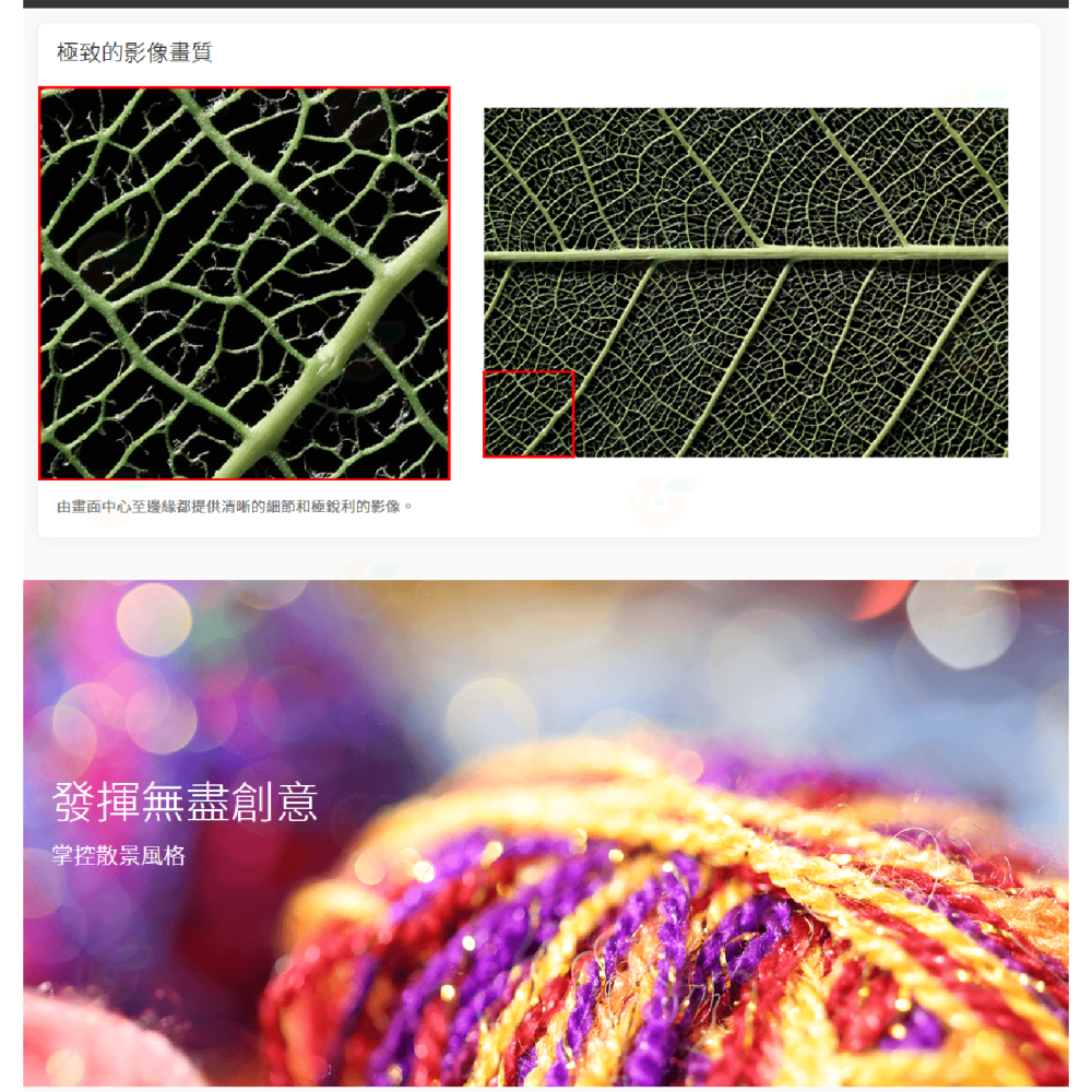 Canon RF 100mm f2.8 L MACRO IS USM 微距鏡頭 百微 台灣佳能公司貨-細節圖4