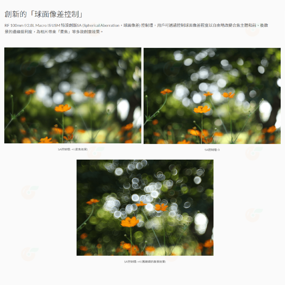 Canon RF 100mm f2.8 L MACRO IS USM 微距鏡頭 百微 台灣佳能公司貨-細節圖5