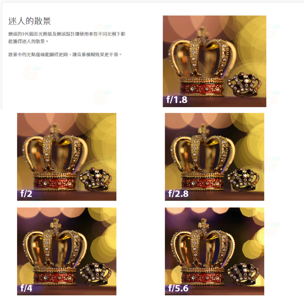 Canon RF 135mm f1.8 L IS USM 大光圈 定焦鏡頭 人像鏡 台灣佳能公司貨-細節圖4