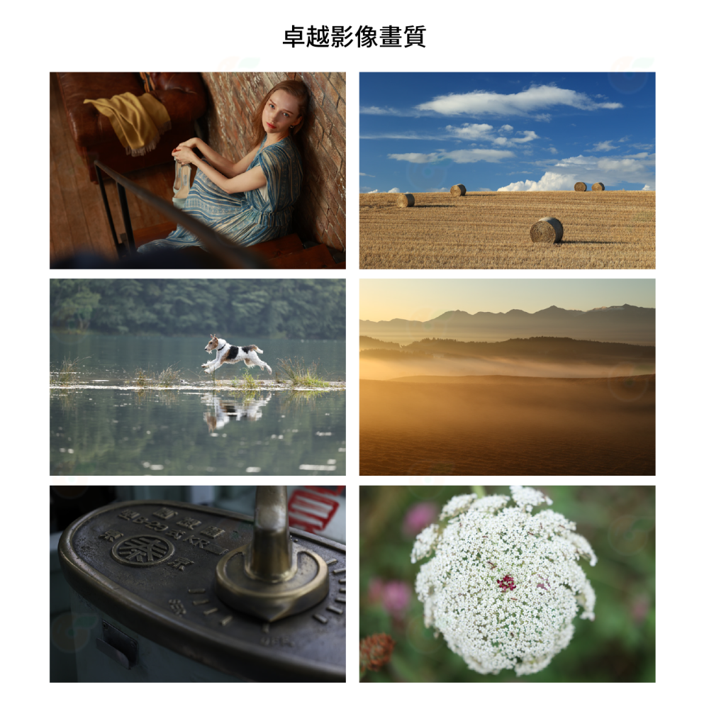 Canon RF 70-200mm f4 L IS USM 小小白 望遠鏡頭 台灣佳能公司貨 70-200-細節圖3