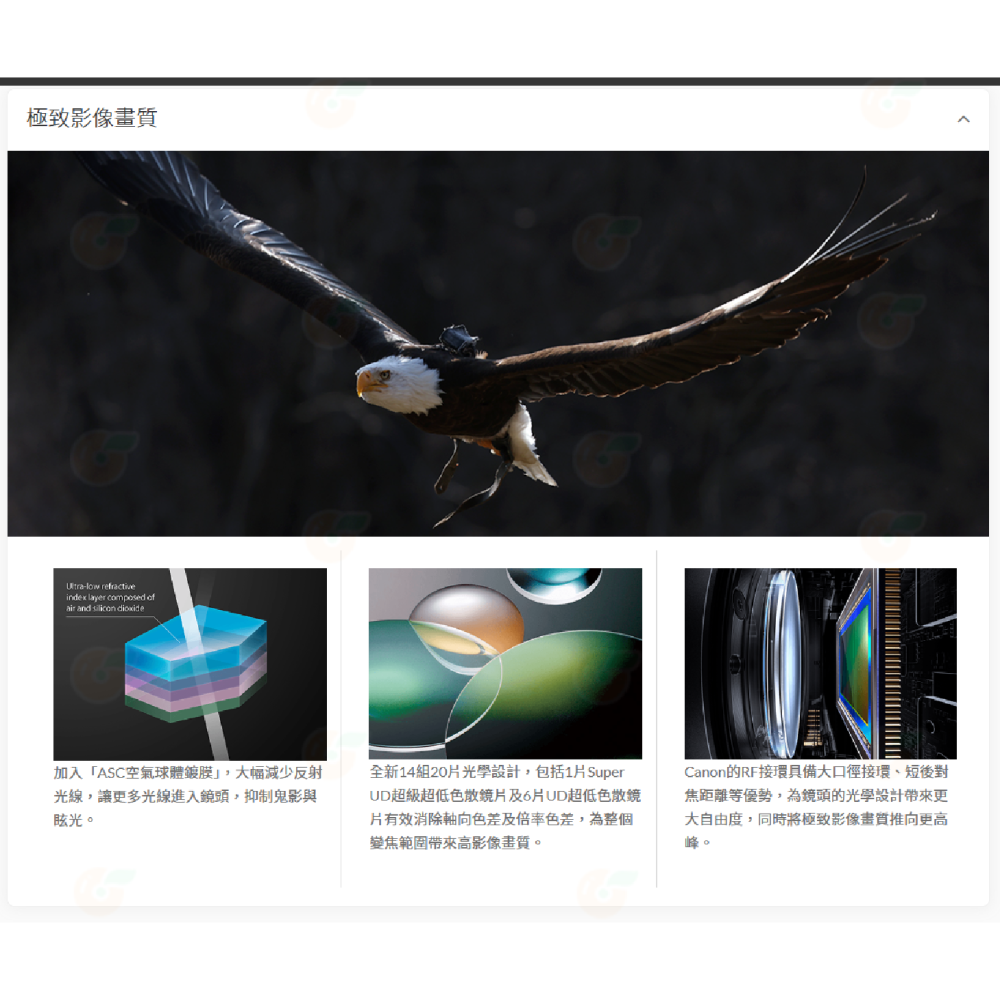 Canon RF 100-500mm f4.5-7.1 L IS USM 望遠鏡頭 公司貨 100-500-細節圖3