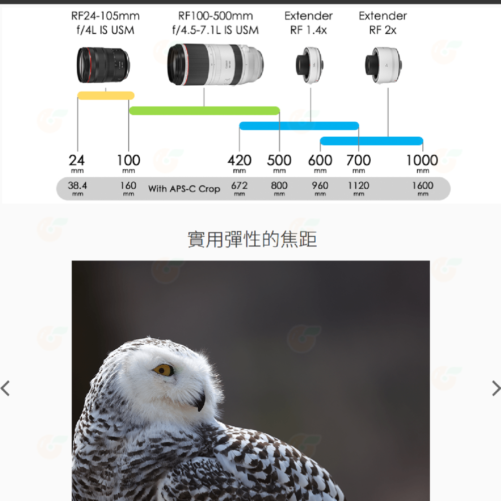 Canon RF 100-500mm f4.5-7.1 L IS USM 望遠鏡頭 公司貨 100-500-細節圖4