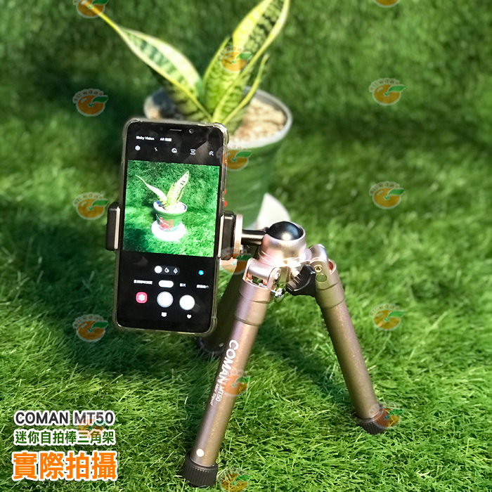 COMAN MT50 迷你自拍棒三腳架 可攜式自拍杆 多色可選 穩定性好 攜帶方便 快速展開 手機 相機 單眼 適用-細節圖5