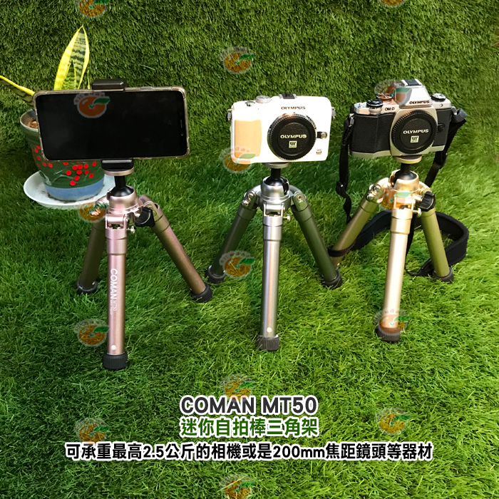 COMAN MT50 迷你自拍棒三腳架 可攜式自拍杆 多色可選 穩定性好 攜帶方便 快速展開 手機 相機 單眼 適用-細節圖6