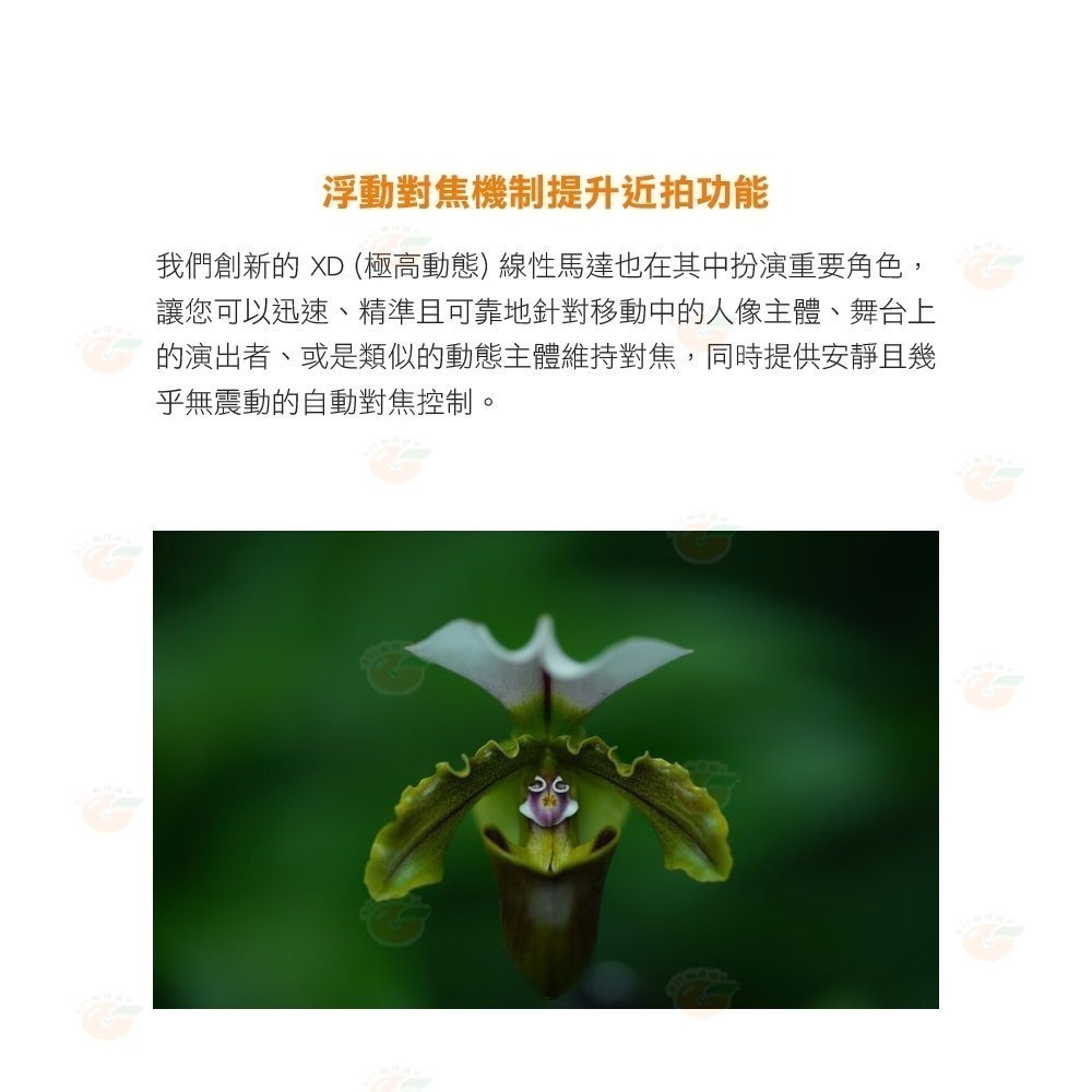 SONY SEL135F18GM FE 135mm F1.8 GM 全片幅定焦大光圈鏡頭 公司貨-細節圖6