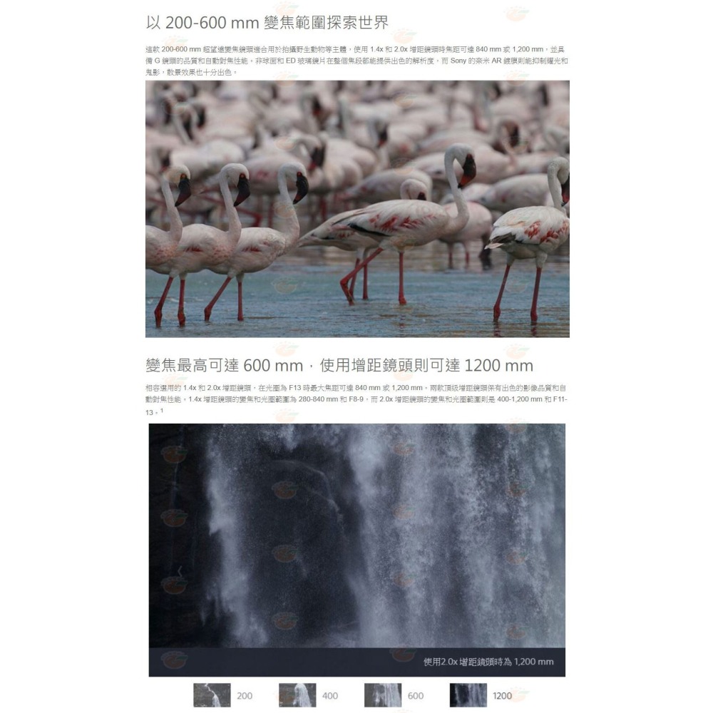 SONY SEL200600G FE 200-600mm F5.6-6.3 G OSS 超望遠鏡頭公司貨-細節圖2