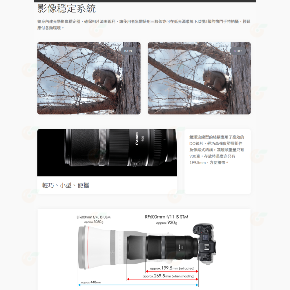 Canon RF 600mm f11 IS STM 超望遠定焦鏡頭 輕巧 台灣佳能公司貨-細節圖4