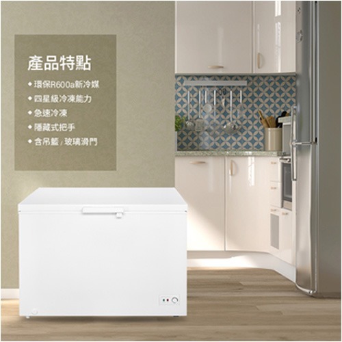 含拆箱定位+舊機回收 東元 TECO RL3002W 300公升 上掀式臥式冷凍櫃 定頻 直冷 冷凍 冷藏-細節圖8