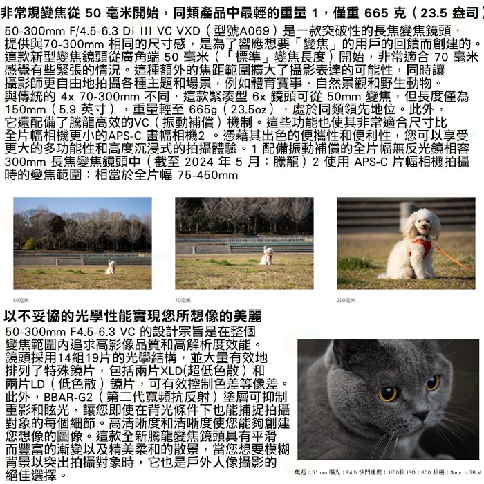 TAMRON A069 50-300mm F4.5-6.3 Di III VC VXD 公司貨 SONY用 50-300-細節圖2