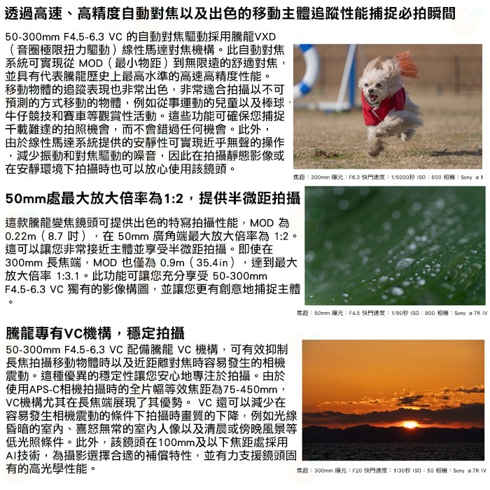 TAMRON A069 50-300mm F4.5-6.3 Di III VC VXD 公司貨 SONY用 50-300-細節圖3