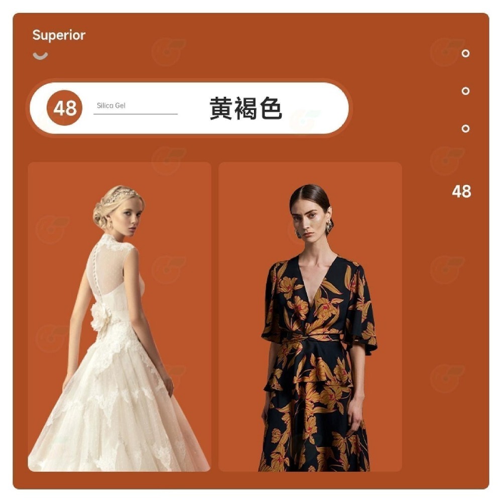 48 黃褐色