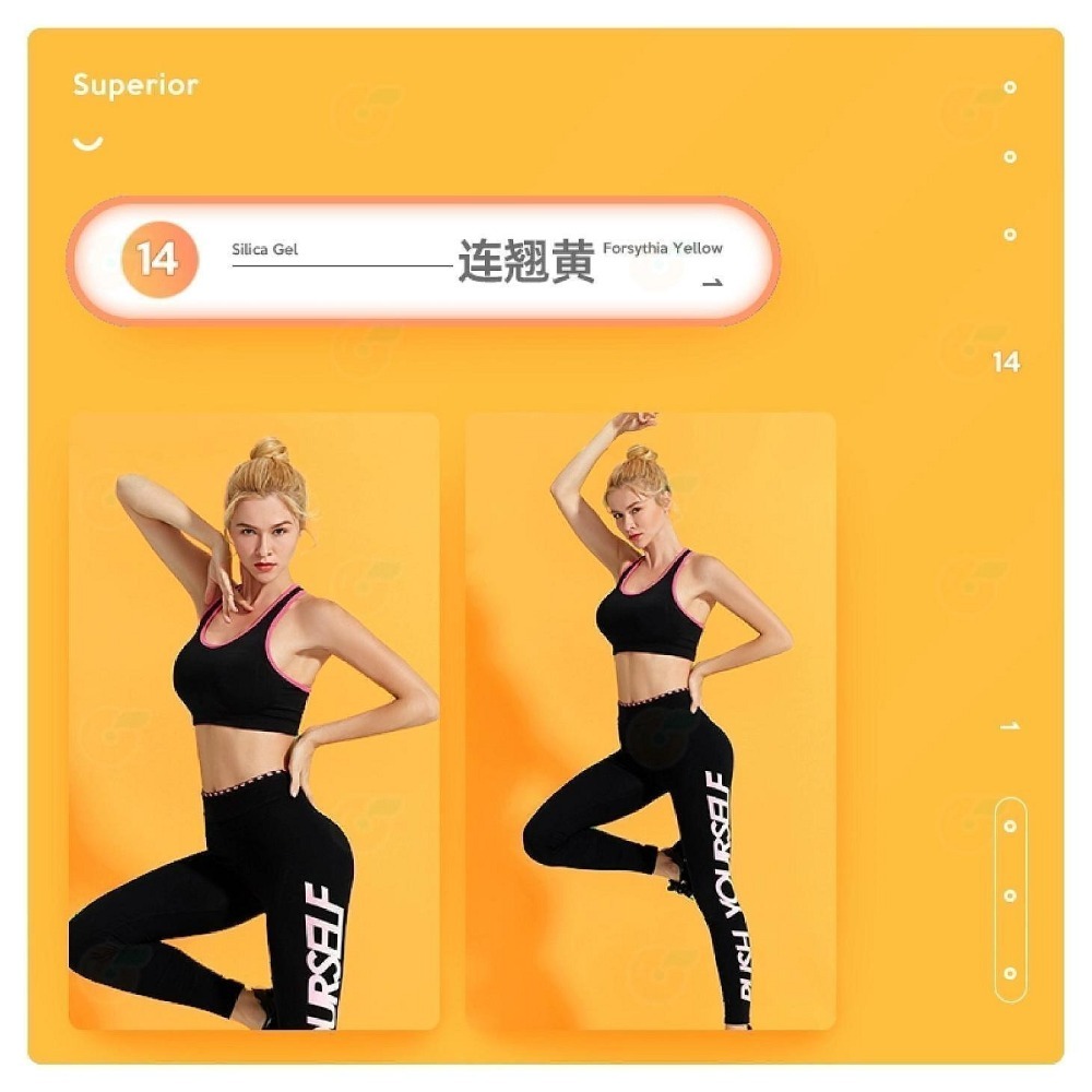 14 連翹黃