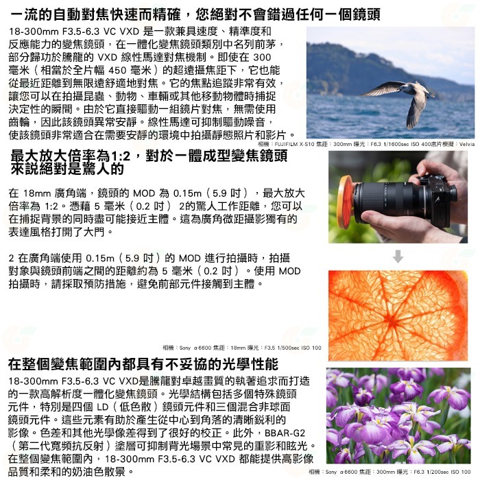 TAMRON B061 18-300mm F3.5-6.3 Di III AVC 公司貨 SONY 富士用 18-300-細節圖3