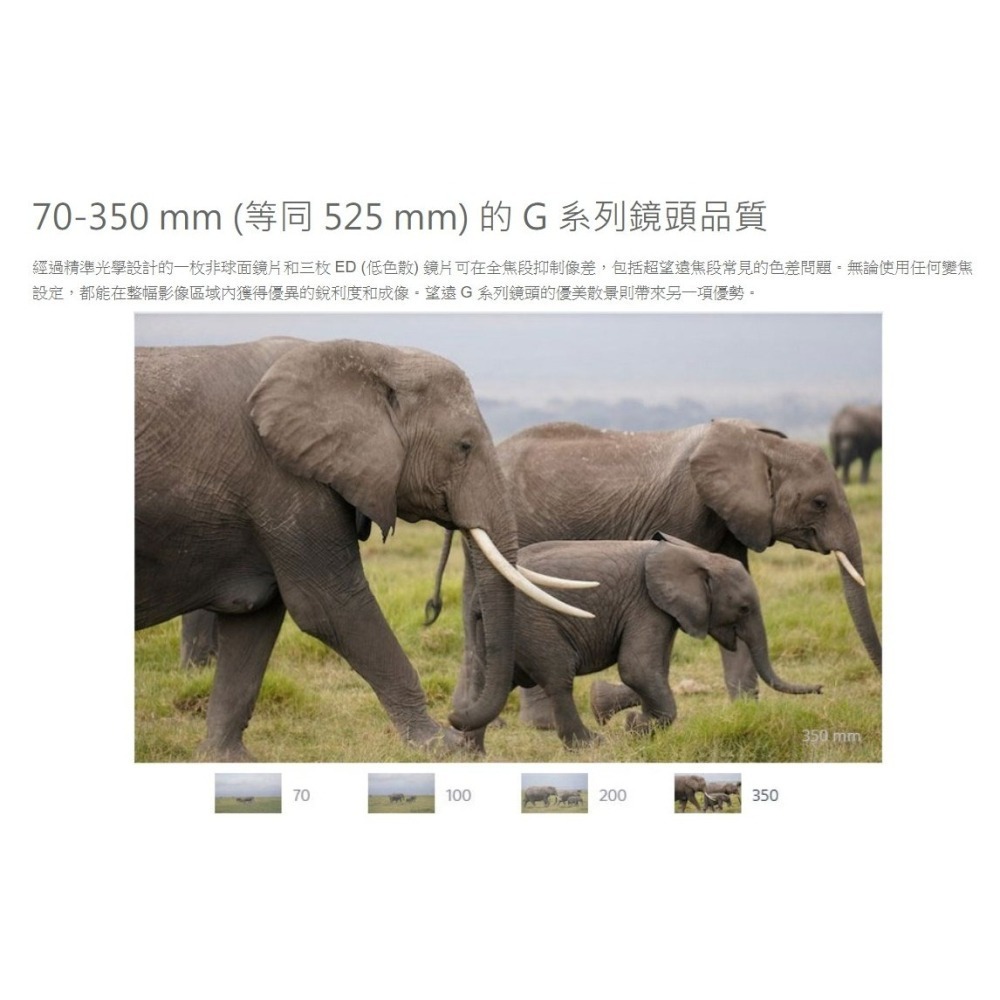SONY SEL70350G E 70-350mm F4.5-6.3 G OSS 望遠鏡頭公司貨-細節圖3
