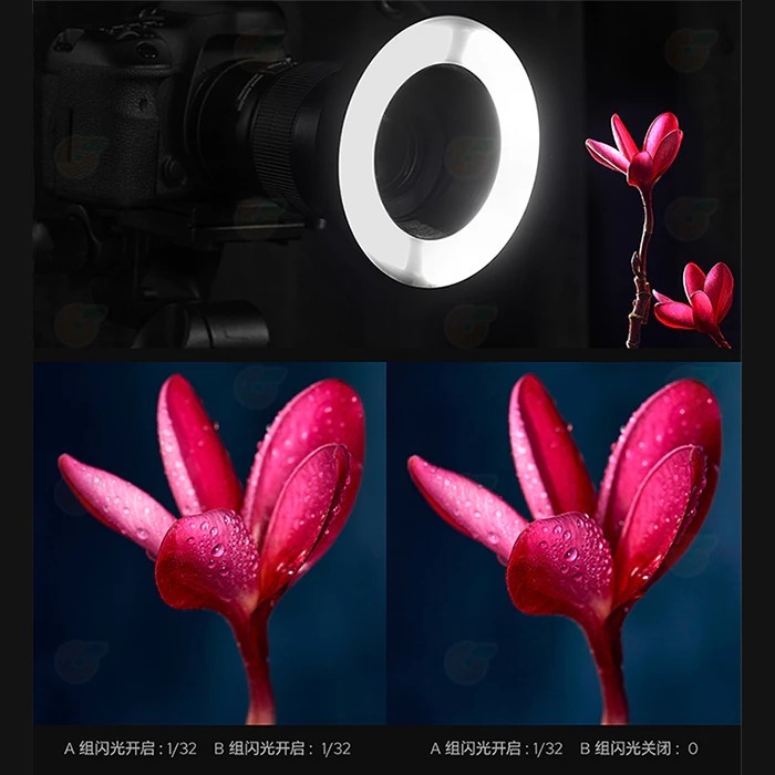 神牛 Godox MF-R76C TTL 微距環形閃光燈 for Canon 公司貨 環閃 補光燈 適用近拍 牙醫-細節圖4