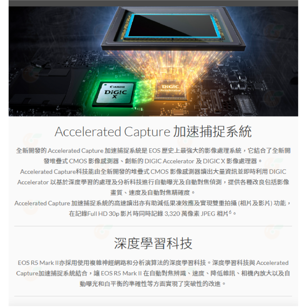 Canon R5 II BODY 機身 24-105mm KIT 2代 全幅單眼 公司貨 R5II R52-細節圖2