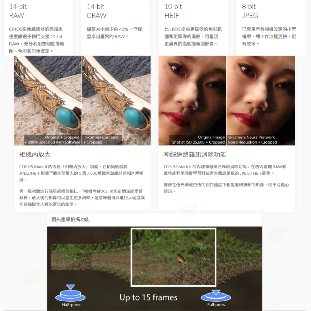 送註冊禮 Canon R5 II BODY 機身 24-105mm KIT 2代 全幅單眼 公司貨 R5II R52-細節圖5