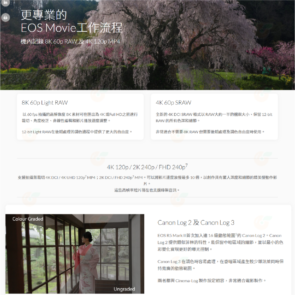 送註冊禮 Canon R5 II BODY 機身 24-105mm KIT 2代 全幅單眼 公司貨 R5II R52-細節圖3