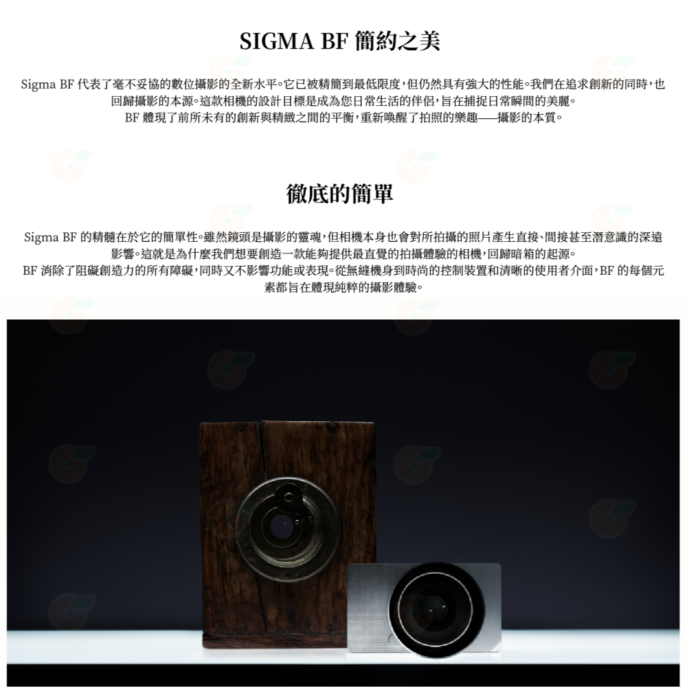 註冊送原電 SIGMA BF 機身 BODY 全片幅無反相機 恆伸公司貨 內建記憶體 多種色彩模式-細節圖2