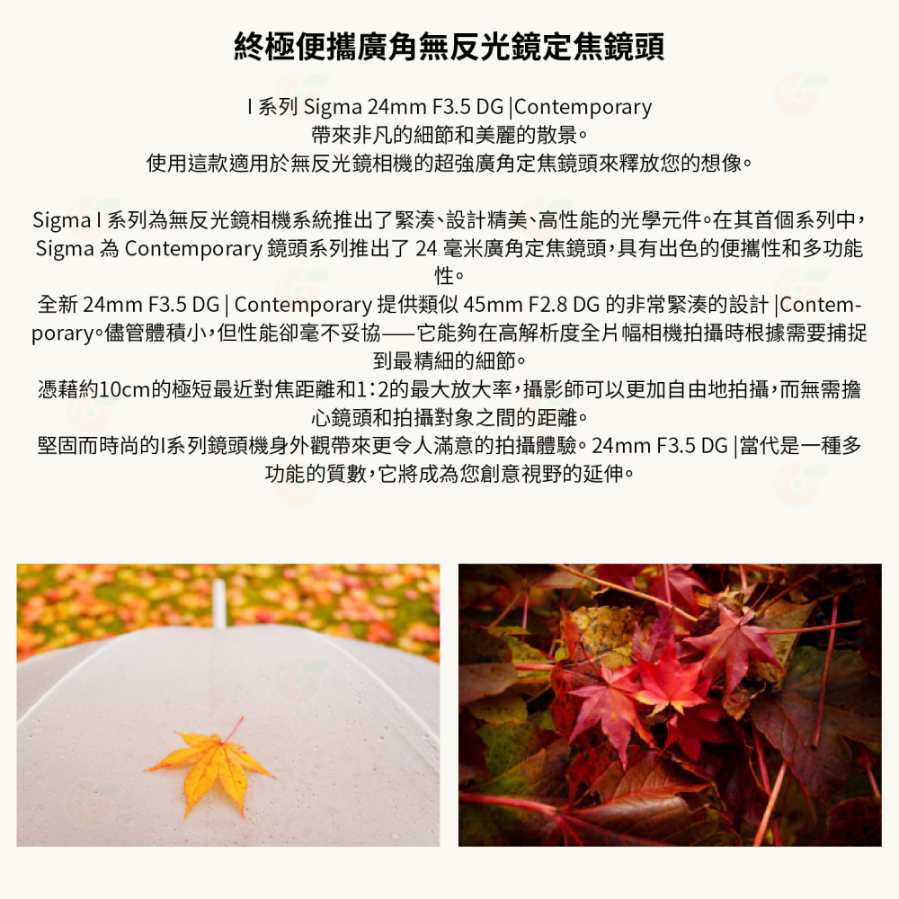 預購 SIGMA 24mm F3.5 DG C i系列 廣角鏡頭 恆伸公司貨 適用 SONY E L-Mount-細節圖2