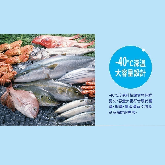 含拆箱定位+舊機回收 台灣三洋 SANLUX SCF-DF300 上掀式冷凍櫃 -40℃深層低溫 300L-細節圖4